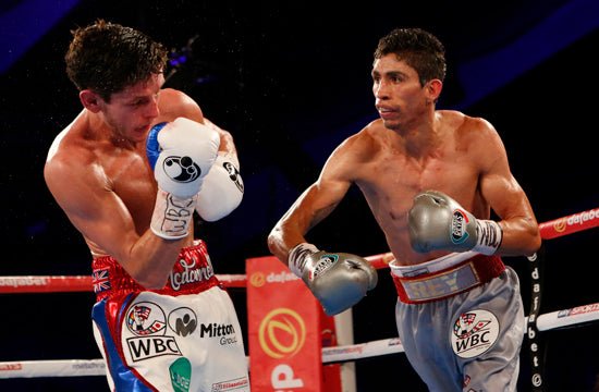 British Judges Need Their Cards Marking - Queensberry