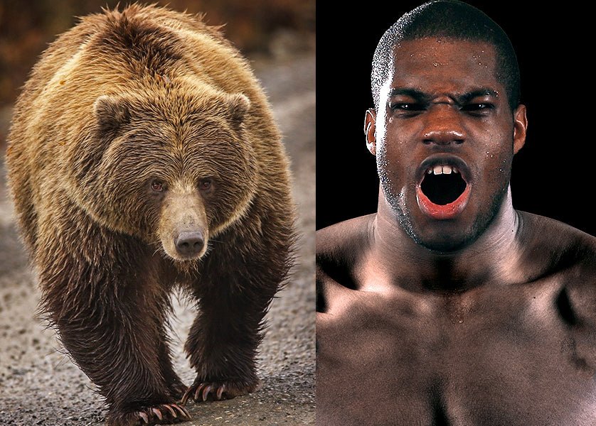 Dubois Compares Himself To Grizzly As He Roars "Fujimoto... Be Careful" - Queensberry