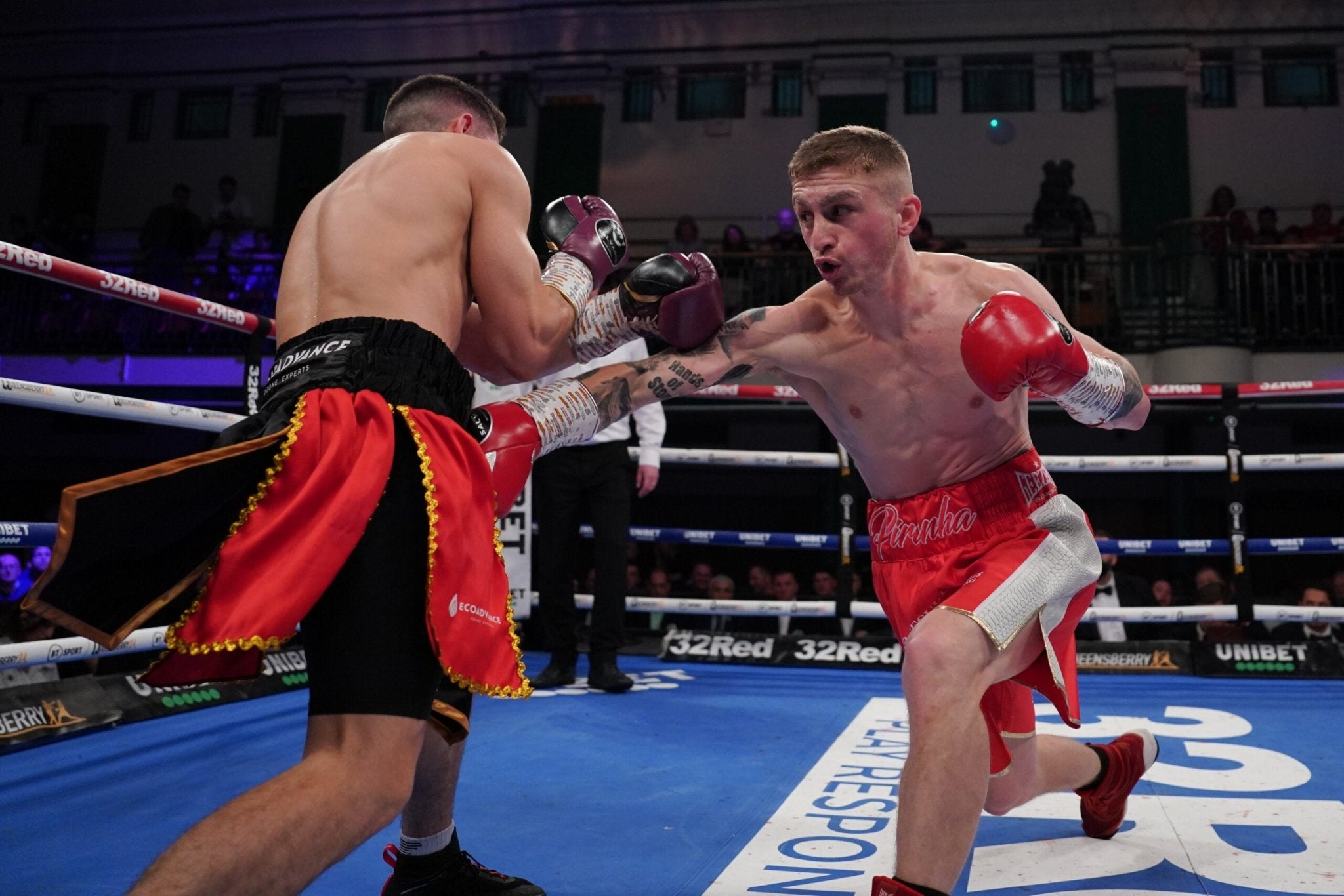 Future Champions Aplenty - Queensberry