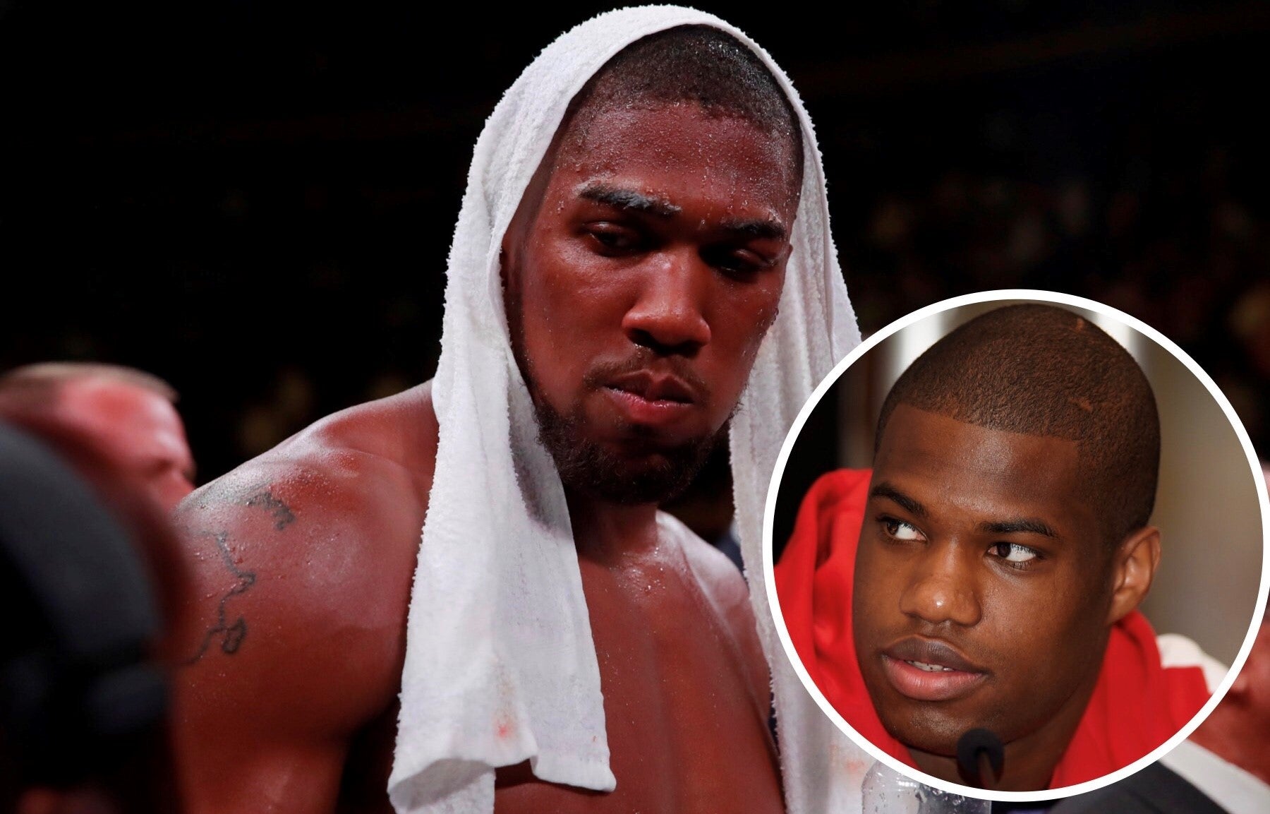 Lay Off Joshua, Blasts Dubois - Queensberry