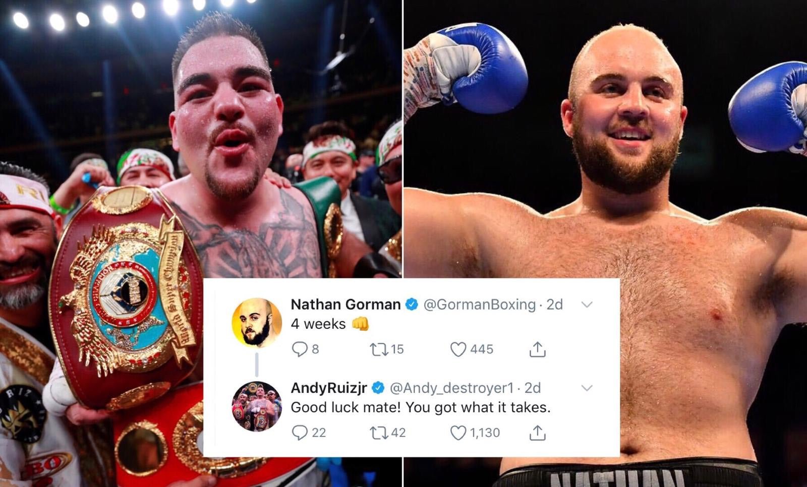 World Heavyweight Champ Ruiz Jr Backing Gorman To Topple Dubois - Queensberry