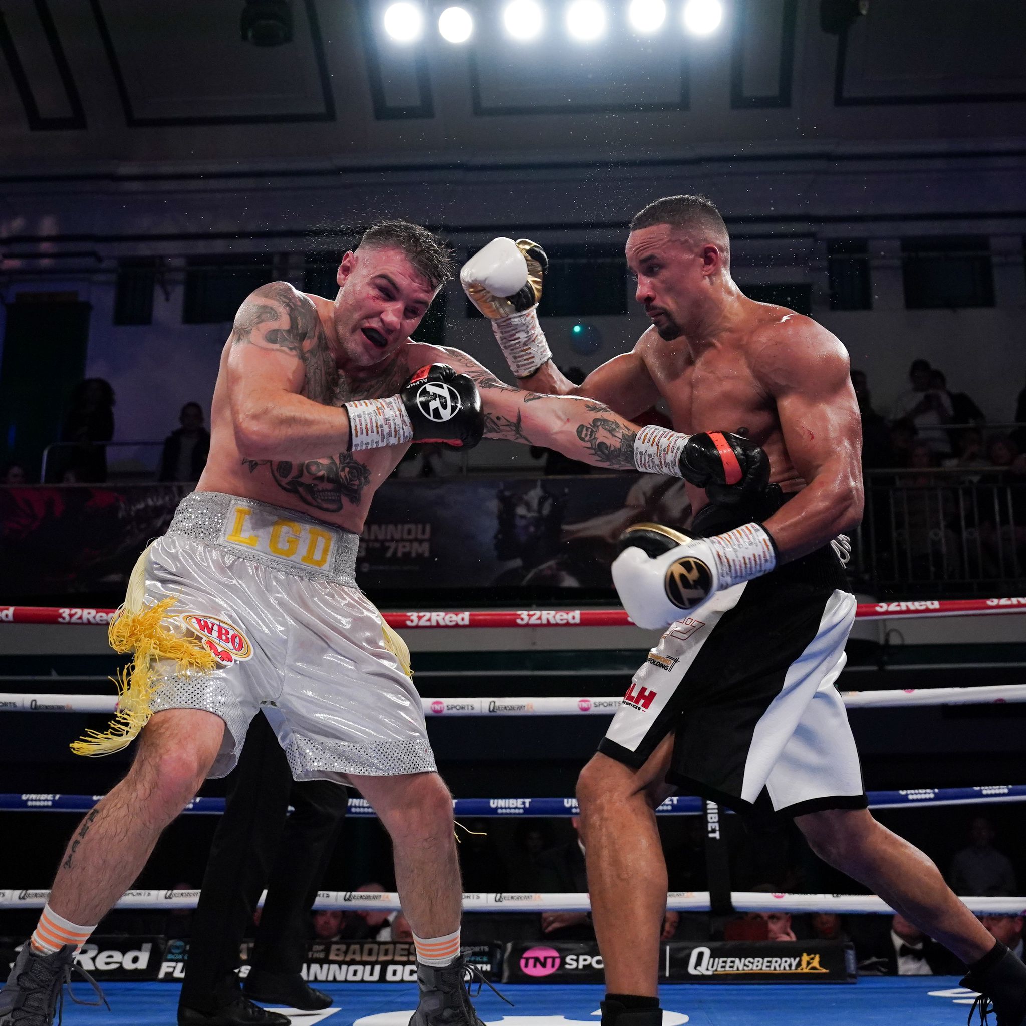 Zorro Still Up To The Task - Queensberry